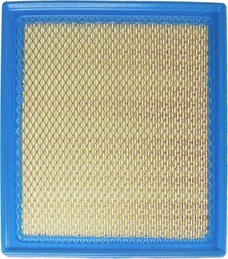 GP895 Engine Air Filter, thumbnail 2